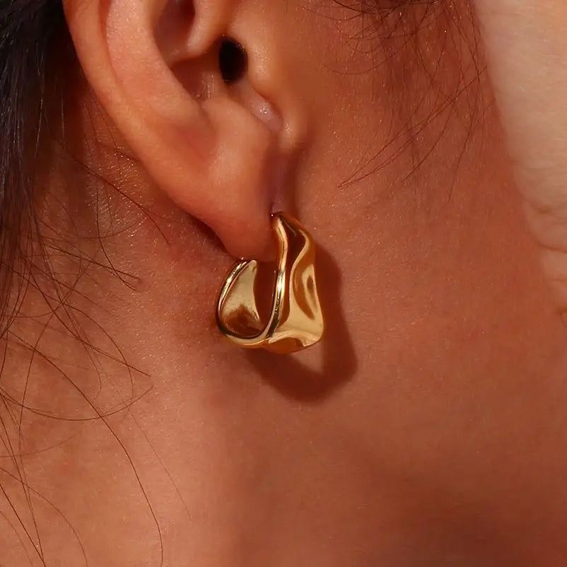 Curved Earrings
