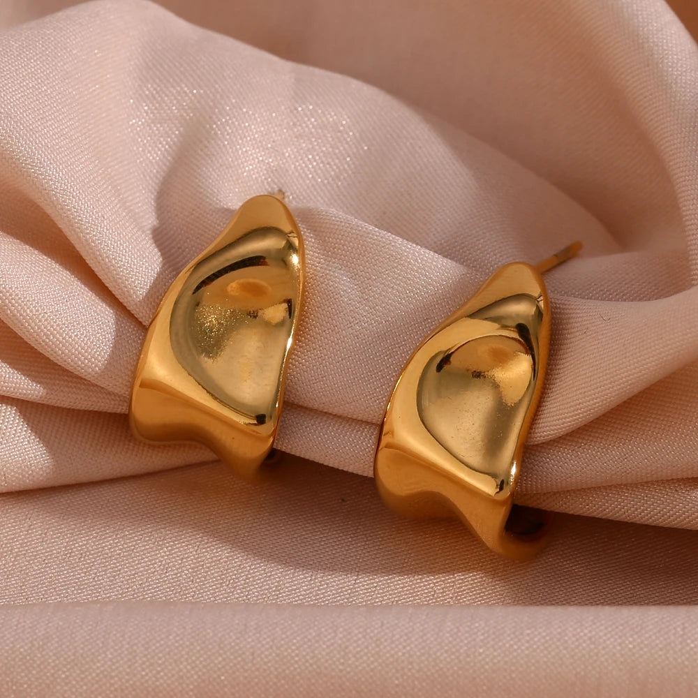 Curved Earrings